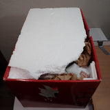 Fitz & Floyd Bellacara Santa 19" Figurine Centerpiece w/Box 2008 Handcrafted